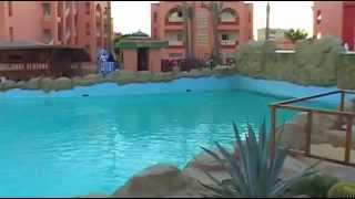 You must see this Zobacz film z hotelu Sea World Resort Egipt  Travelzonepl [upl. by Braeunig346]