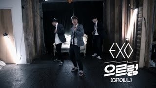 EXO으르렁 GrowlJun Sung Ahn Violin amp Dance Cover [upl. by Adiesirb]