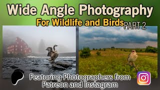 Wide Angle Photography for Birds and Wildlife PART 2 [upl. by Renzo]