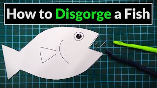 How to Use a Disgorger amp Unhook a Fish  Angling for Beginners [upl. by Godfrey480]