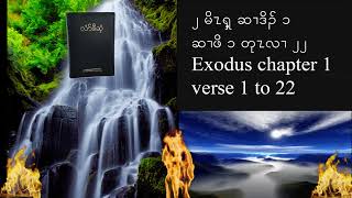 Exodus chapter 1 KJV Sgaw Karen Audio book [upl. by Nolham]