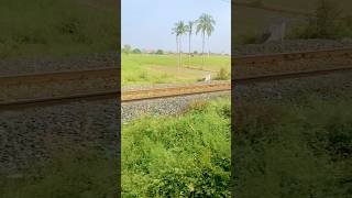 Andhra Pradesh border railway track in video trending Indian railway sort viral video railtrack [upl. by Idna]