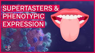 Genes Arent Enough to be a Supertaster  Explaining Phenotypic Expression 👅 🧬 [upl. by Yalc599]