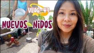 💫 Acompáñame a hacer nidos para las gallinas  GrisMorenoVlogs vlogs viral [upl. by Chessy]