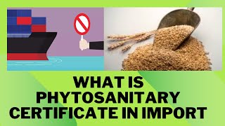 What is Phytosanitary certificate in import [upl. by Merchant945]