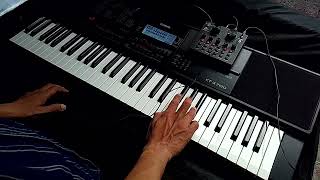 playing piano in daw mode like midi keyboard type 61 keyboard piano playing 🎹casiotone playing [upl. by Yelda536]