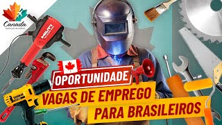 OPORTUNIDADE DE EMPREGO NO CANADÁ MISSÃO DE RECRUTAMENTO NO BRASIL EM 2024 [upl. by Karen873]