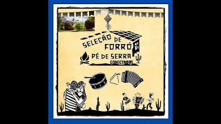 Seleção de Forró Pé de Serra no Conectados [upl. by Nryhtak]