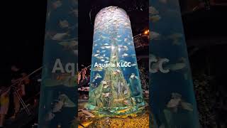 Aquaria KLCC Vid 1 [upl. by Nosidda]