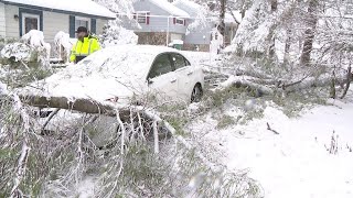 Tree falls on car in Luzerne County [upl. by Rihsab759]