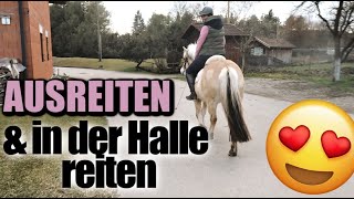 STALL TAG PFERD AUSREITEN UND IN DER HALLE REITEN [upl. by Arekat528]