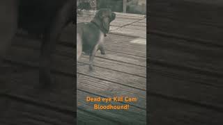 Deadeye Kill Cam Bloodhound rdr2 shorts johnmarston [upl. by Rraval]