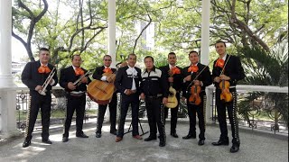 QUE DIOS TE BENDIGA  MARIACHI ESTELAR DE ORO CANCIÓN DE CUMPLEAÑOS [upl. by Mouldon]