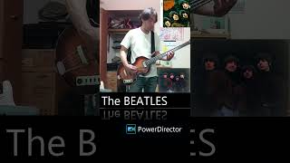 Nowhere Man shorts thebeatles beatlessong beatlescovers beatles violinbass hofnerbass [upl. by Le]