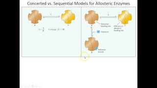 Lecture 6B  Concerted and Sequential Models for Allosterics [upl. by Pietra]