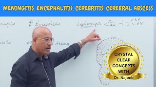 Difference Between Meningitis  Encephalitis  Cerebritis  Cerebral Abscess🩺 [upl. by Ihcalam]