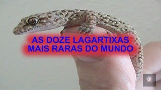 AS DOZE LAGARTIXAS MAIS RARAS DO MUNDO [upl. by Allyce]