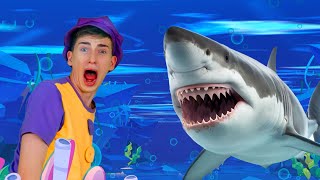 Sharks in the Water 🦈  Kids Funny Songs [upl. by Anitsyrc]