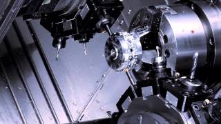 EXSYS  Eppinger Cutting Demonstration [upl. by Biondo]