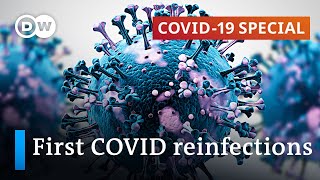 How long does coronavirus immunity last  COVID19 Special [upl. by Kurtis]