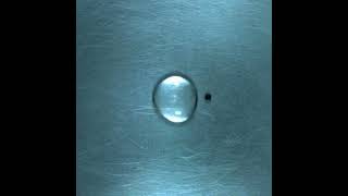 The triple Leidenfrost effect in water and ethanol [upl. by Ahsimal]