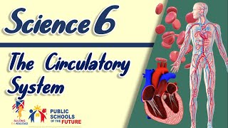 GRADE 6 THE CIRCULATORY SYSTEM Science 6  SULONG EDUKALIDAD by Sir CG [upl. by Tigirb788]