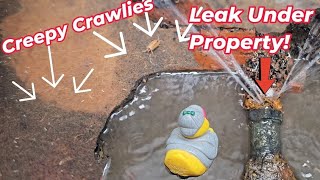 LEAK on a supply pipe feeding 8 HOUSES [upl. by Gautious]