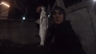 Late Winter Striped Bass Fishing Providence River Rhode Island [upl. by Nyrual]