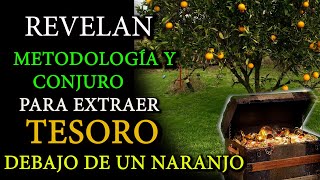 REVELAN con METODOLOGIA Y CONJUROS el SECRETO para EXTRAER CUALQUIER TESORO OCULTO ENTERRADO [upl. by Valida]