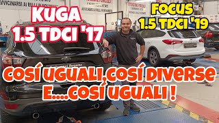 KUGA 15 TDCI  17  FOCUS 15 TDCI  19  Così ugualicos diverse ecosì uguali [upl. by Catina]