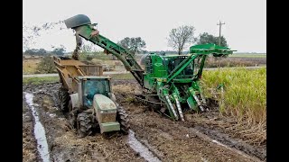 John Deeres 2 Row CH960 Cane Harvester 4K [upl. by Corson]