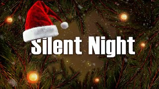 Silent Night 🎄With Lyrics To Sing Along ❄️ 🌟 Christmas Carols Harmonies [upl. by Niajneb]