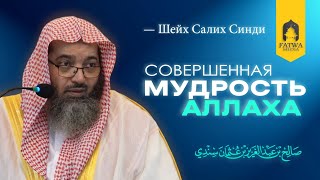 Мудрость Аллаха и один из самых широких путей заблуждения  Шейх Салих Синди [upl. by Arda]