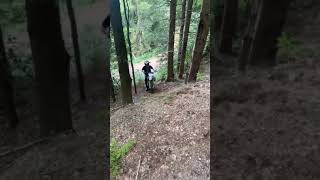 husqvarna 85 hill climb [upl. by Roxanna357]