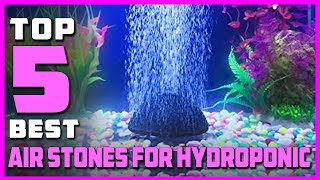 Best Air Stones for Hydroponic in 2023 Top 5 Review and Buying Guide [upl. by Stavro811]