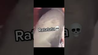 ratatata meme [upl. by Suzann]