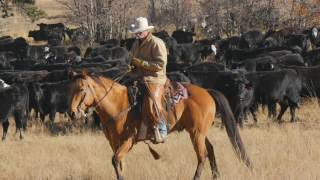 John Moore Horse amp Cattle Course USA [upl. by Aicilaf570]