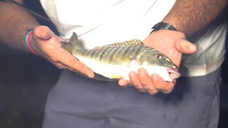 Beach Ledgering e SurfCasting estivo a Pontecagnano [upl. by Andee713]