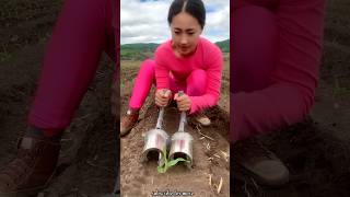 Satisfying Seedlings Planting Tools for Rural Farmer  Helpful Agricultural Tools shorts ytshorts [upl. by Tjader]