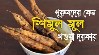 আশ্চর্য ভেষজ শিমুল মূলের উপকারিতা ও খাওয়ার সঠিক নিয়ম জেনে নিন  Health benefits of Bombax Ceiba [upl. by Neville963]