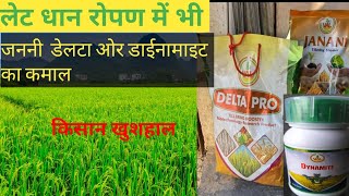 VAL के जननी ओर डेल्टा का कमाल Best Bio product Desi fertilizer AgricultureDesi Kisan Agro Farm [upl. by Etteragram]