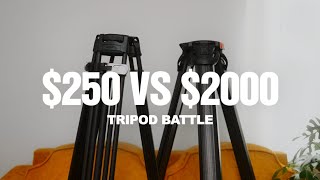 BUDGET Sachtler Smallrig Freeblazer vs Flowtech Tripods [upl. by Meli]