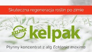 Jak powstaje i działa biostymulator z alg morskich  Kelpak  Chemirol [upl. by Imray315]