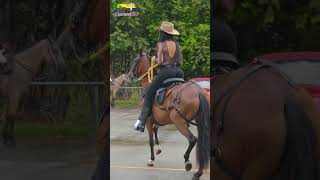 Cabalgata en Toro  Valle COLOMBIA 😍 cabalgata colombia [upl. by Okkin788]