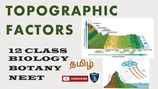 Topographic Factors in Tamil I Principles of Ecology I Botany I Class 12  TNSCERTCBSE  NEET [upl. by Webber]