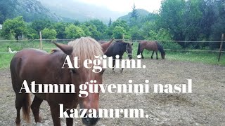 At eğitimi  Atımın güvenini nasıl kazanırım Atların dilini nasıl anlarım [upl. by Hubie]