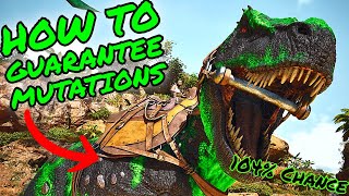 How To GUARANTEE Getting MUTATIONS in Ark Survival Ascended ASA MUTATIONBREEDING GUIDE [upl. by Llertnahs]