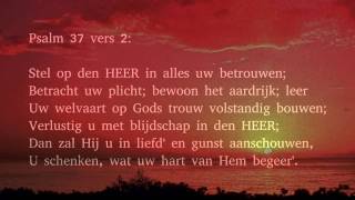 Psalm 37 vers 1 2 en 9  Wees over t heil der bozen niet ontstoken [upl. by Julio]