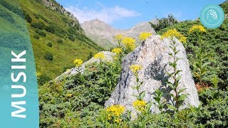 Verbundenheit – wohltuende Musik und Naturfotos von Bruno GröningFreunden [upl. by Anitra]