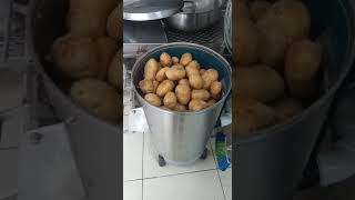 Akse Endüstriyel 25 kg Patates 🥔 Soyma Makinesi 2 Dakikada Patates Soyma [upl. by Yrruc932]